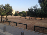 دعوة المؤسسات اليافية لعقد اجتماع طارئ لاتخاذ موقف موحد ضد دائرة أراضي اسرائيل